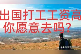 想出国打工挣钱？这些是你需要了解的，看看再做决定吧！图片