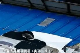 包头老两口收养20多只流浪猫狗，整个楼道气味难闻，咋办？图片