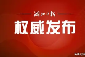 重磅！湖北省文明城市候选名单公示图片
