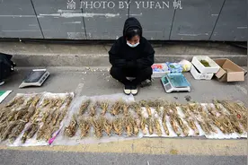 疯狂的边境市场：吉林长白将人参当白菜卖，云南腾冲用翡翠摆地摊图片