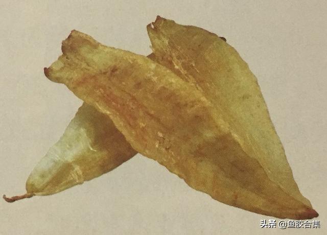 安南竹叶鱼胶百度百科 2025年安南鱼胶是什么鱼胶