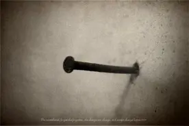 「诗歌」钉子图片