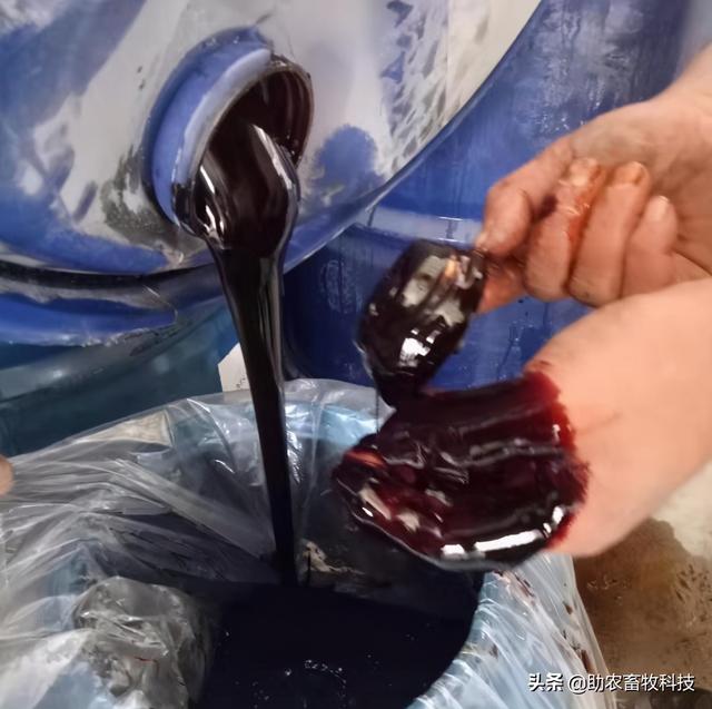 甘蔗糖蜜在猪营养中的应用，可以代替大量能量饲料降低部分成本