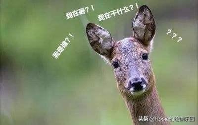 48岁一字马，久坐的你深蹲下不去？开胯开髋别瞎练小心伤了腿