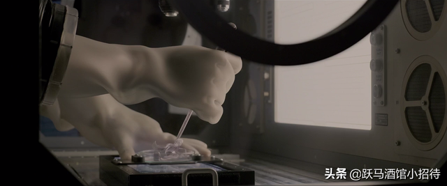 解释一下《异星觉醒》最后的结局