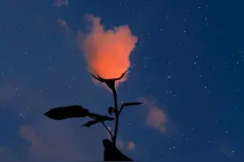 有特别含义的微信号，总有一个适合你图片