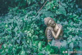 懂得这三点的人，才是真正的高明图片