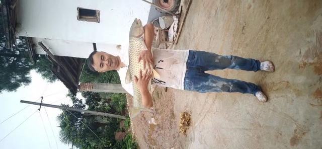 震惊！原来草鱼这样钓竟然可以爆护！