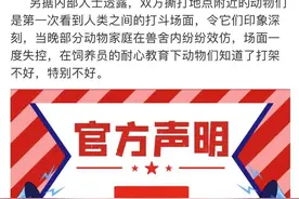 游客打架动物效仿，动物还学过人类哪些行为图片