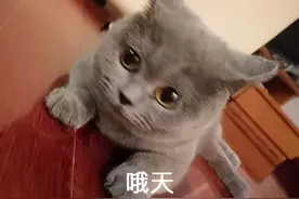 哥哥不仅对卧病的父亲置之不理，还变卖家中物品挥霍一空，家里人实在拿他没办法了......图片
