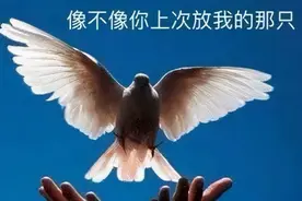 《仙剑奇侠传7》主题曲发布后公布游戏的配置要求：想玩得加钱图片