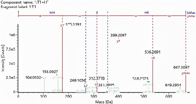 鎶€鏈崌绾т辅楂樺垎杈ㄨ川璋卞姪鍔涘ぇ鍒嗗瓙铔嬬櫧鑽墿缁撴瀯纭瘉鐮旂┒