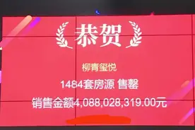 几分钟抢光近1500套房子，临沂楼市的传奇-柳青玺悦图片