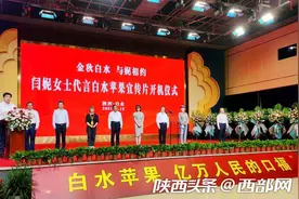 闫妮代言白水苹果宣传片开机拍摄 支持家乡打响苹果品牌图片