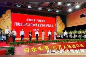闫妮代言白水苹果宣传片开机拍摄 支持家乡打响苹果品牌图片