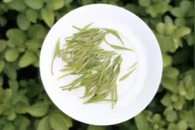 比起文人的轻薄煽情，"女儿茶"的民间传说更伤感图片