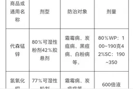 葡萄种植常用药物大全，收藏备用图片
