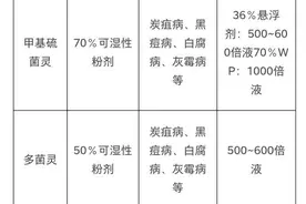 葡萄种植常用药物大全，收藏备用图片