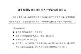 “中国最贵专利侵权案”尘埃落定，公牛集团胜诉！图片