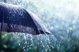 你的身体真的“湿气重”吗？图片