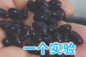 掉色的黑豆是被染色了吗？教您几个小窍门轻松分辨真黑豆视频封面