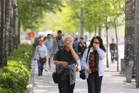 防风防沙的任务完成后，大量的飞絮又成了问题| 为什么北京春天的飞絮治不好？图片