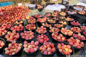 陕西、甘肃、山东、新疆苹果有什么区别？口感差别大？价格有差距图片