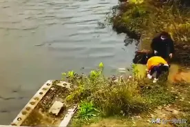 南京水库事件令人想起古人的四句箴言，要避开生活中的风险图片