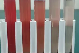 尿液是红色，一定是患病了吗？图片