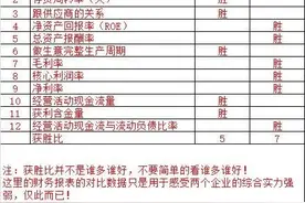 露笑科技VS国科微～一文看懂两个芯片企业的财务数据图片
