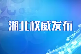 湖北小微企业纳税人增值税，今年免征10个月图片