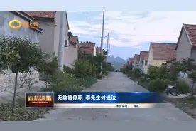 无故被停职 李先生讨说法图片