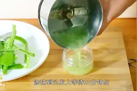 天天掉头发？2个芦荟生发小方法，常用让头发越来越浓密
