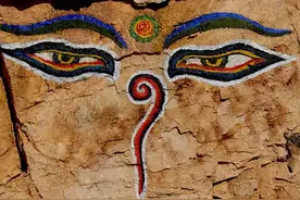 蒙古人的眼睛图片