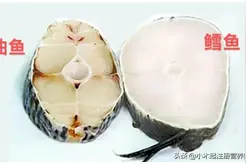 冒充鳕鱼的鱼真多，到底怎么选？附“鳕鱼购买总结图”快收藏图片