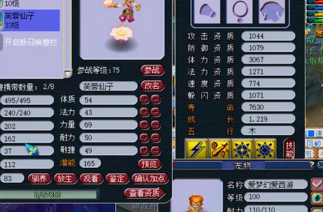 梦幻西游：颜值担当！玩家成功喜提7技能芙蓉仙子