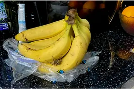 毒液可致男性“性奋”！香蕉内藏世界第一剧毒蜘蛛，英国男子吓坏了图片