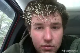 生活总是起起落落落落，网友们那些无法掌控的悲催日常！太倒霉了图片