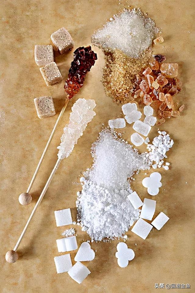 只管放心吃！照顾的事儿交给金鱼管家