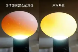 每日一问85：如果把一颗鸡蛋使劲的摇，那么鸡蛋会不会在鸡蛋壳里打成鸡蛋液？图片