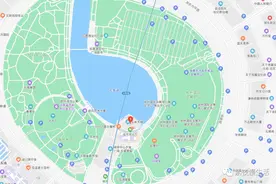 擎天大玉米——郑州JW万豪图片