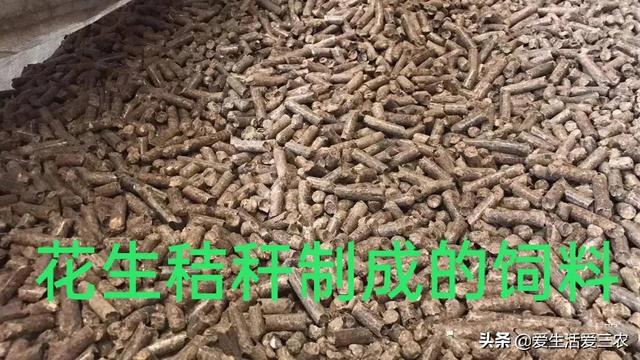 号称“秸秆之王”的花生秸秆，别当柴火烧了，每吨能卖一千多元！