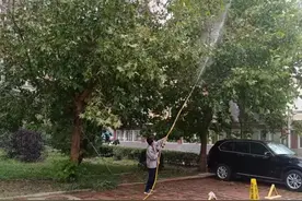 这种毛毛虫咋这么多？顺义多小区密集消杀图片