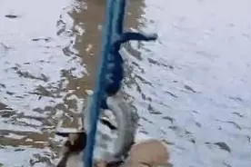 男子用磁铁钓钥匙，结果发现钓上来的东西很重，看清后不淡定图片