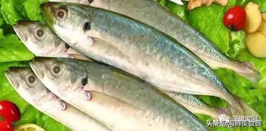 本港海鲜和外港区别 2026年本港海鲜和外港区别大吗