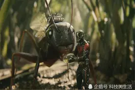 人类如果缩小了100倍，会发生什么？或连蚂蚁都打不过！图片