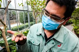 丰台南宫五洲植物乐园里的“动物爸爸”图片