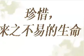 一位42岁银行行长的最后遗愿让人泪目图片