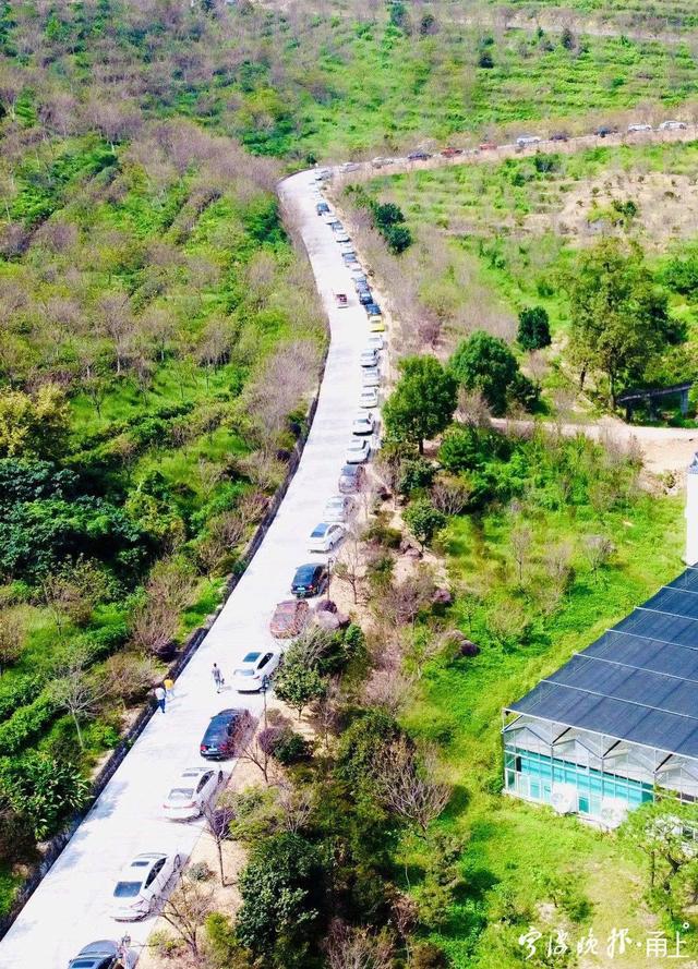 不用抢车位，又能避高峰！到宁波这些热门景区玩备好这份“攻略”