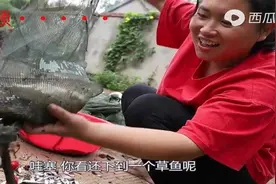 小乐下的地笼收获满满，送给胖妹一些，好几样河鲜一起焖，贼好吃图片